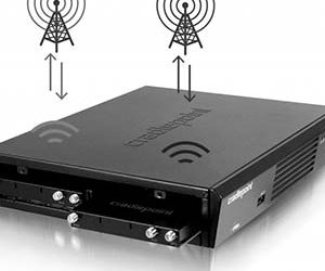 InfoProtect, Cradlepoint eliminate fraud