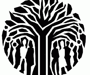 ConCourt rules on CPS contract