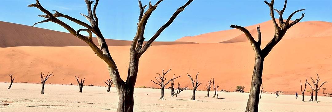 Data centre management and the drought