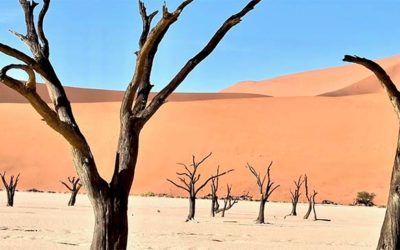 Data centre management and the drought