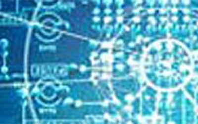 10 ways to grow your customer base