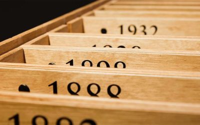 Why terms and conditions are important for the business