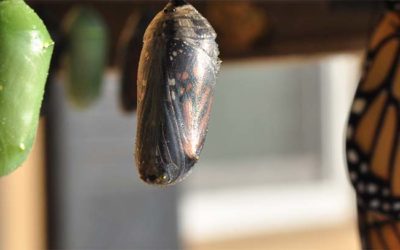 Technology: the next step in our evolution