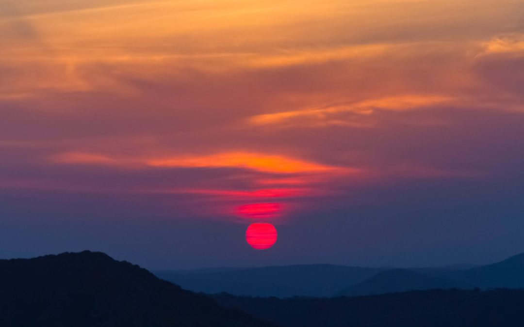 The Internet opportunity for Africa