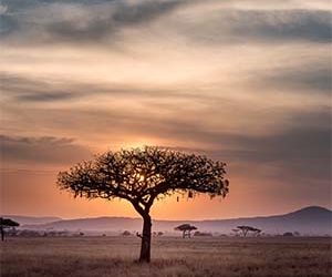 The Internet opportunity for Africa