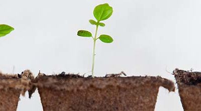 Year of growth ahead for distribution