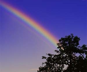 SA set to embrace the public cloud