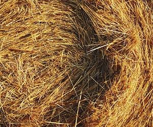 Help ensure your small local business gets found on Google