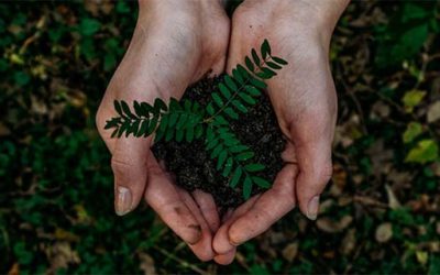 Why a sustainable business is a successful business