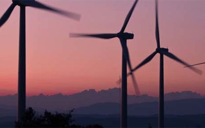 Towards a more sustainable business space