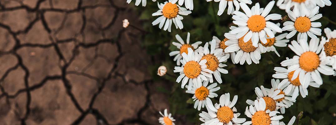 Channel resilience challenged in 2026